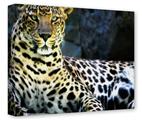 Gallery Wrapped 11x14x1.5 Canvas Art - Leopard