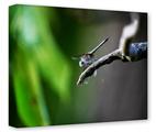 Gallery Wrapped 11x14x1.5 Canvas Art - DragonFly