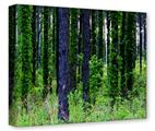 Gallery Wrapped 11x14x1.5 Canvas Art - South GA Forrest